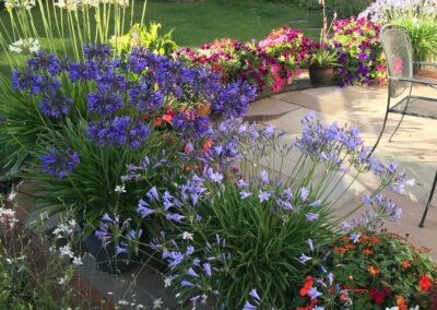 Windsor-gardening-services-Maidenhead-garden-design
